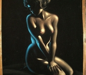1970’s Vixen on Velvet