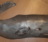 Metalwork Sperm Whale