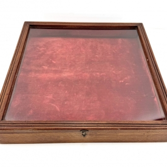 Small Square 19thC. Display Case