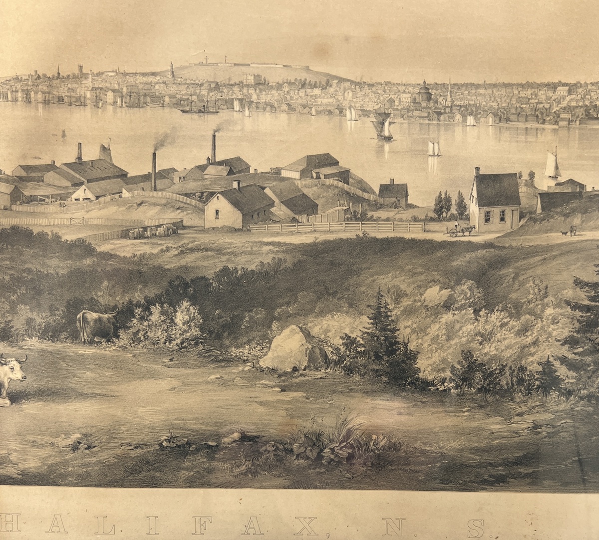 Rare Halifax Print c1853